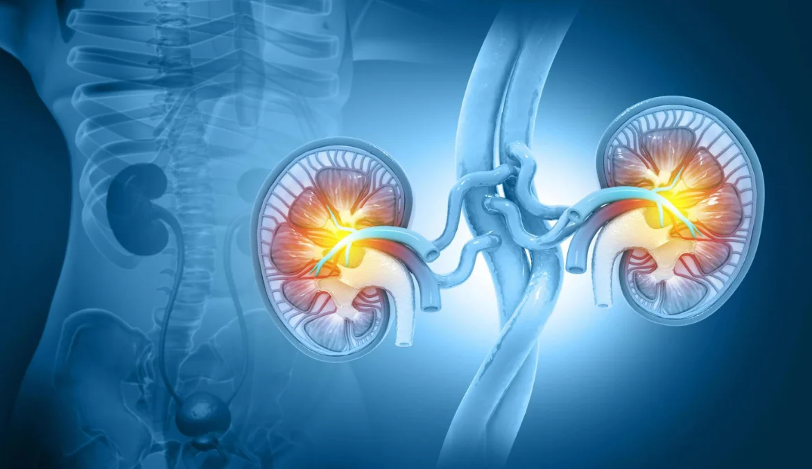 urology and kidney treatment in malkajgiri